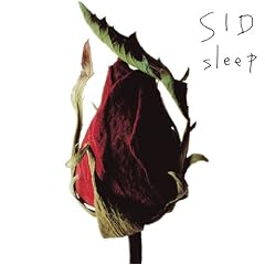 sleep(��������A)(DVD�t)