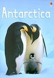 Cover of Antarctica by Lucy Bowman 0794516912
