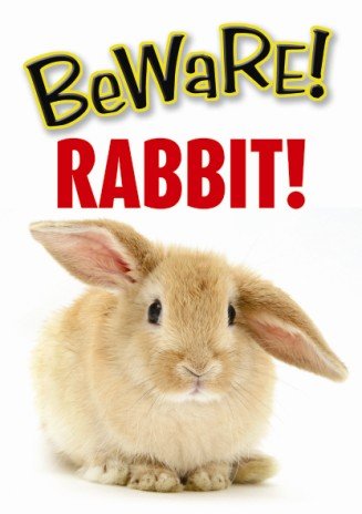 Beware! Rabbit! Sign