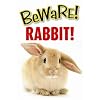 Beware Rabbit Sign