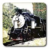 Trains - Train - Light Switch Covers - double toggle switch