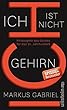 Ich ist nicht Gehirn: Philosophie des Geistes fuer das 21. Jahrhundert