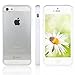 iPhone 5 Case, JETech® Apple iPhone 5/5S Case Bumper Shock-Absorption Bumper and Anti-Scratch Clear Back for iPhone 5/5S (White)