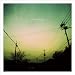 lime sky