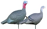 Purrfect Pair Hen and Jake Decoys