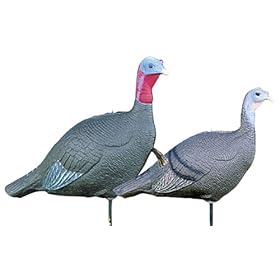 Click here to buy Purrfect Pair Hen and Jake Decoys.
