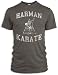Bild: Vintage Distressed Harman Karate Tri-Blend T-Shirt