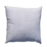 24'' x 24'' Feather/Down Pillow Form White By The Each