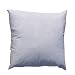 24'' x 24'' Feather/Down Pillow Form White By The Each