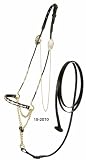 ROYAL KING Gold Rope Nose Arabian Show Halter with Lead