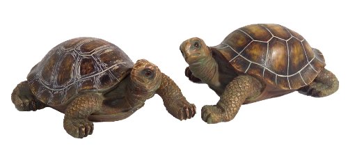 Brauns-Heitmann 61771 Schildkroete Preisvergleich