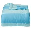 Blue Brites Striped Alternative Down Comforter - Twin  » for $19.99