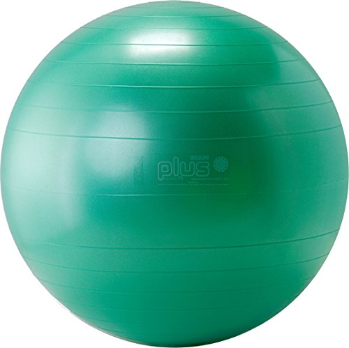 PhysioGymnic Molded Vinyl Inflatable Ball, 26 Inch
