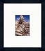 Joshua Tree National Park 14" x 16" Framed Photograph (NP10A-6B2)