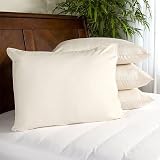 Review SmartBargains  / Set of 4 Certified Organic Cotton Covered Pillows, Standard