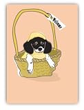 Paper Russells PAPR337B Greeting Card, 5x7 Inch - Pup in Basket - Blank