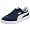 Blue/White
