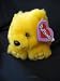 Puffkins Buttercup the Bear