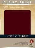 Holy Bible, Giant Print NLT (Holy Bible: Nltse) image