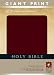 Holy Bible, Giant Print NLT (Holy Bible: Nltse)