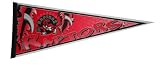 Toronto Raptors 12" X 30" Pennant