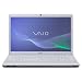Sony Vaio EC2M1E/WI 44 cm (17,3 Zoll) Notebook (Intel Core i3 350M 2,2GHz, 4GB RAM, 500GB HDD, ATI Mobility Radeon HD 5650, DVD, Win 7 HP) wei