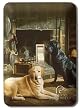 Waiting at Crows Creek Metal Switch Plate Cover