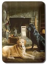 Waiting at Crows Creek Metal Switch Plate Cover