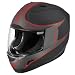 Icon Alliance Rat Motorcycle Helmet Black Rubatone