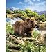BROWN BEAR PUPPET BY FOLKMANIS 17"