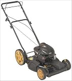 Outdoor Living : High Wheel Self-Propel Mower, 22"