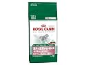 ロイヤルカナン SHN ミニ インドア アダルト 8Kg