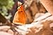 Polk Audio SMNOR-A Speaker for All Bluetooth Devices - Retail Packaging - Orange