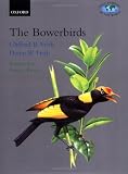 The Bowerbirds: Ptilonorhynchidae (Bird Families of the World)