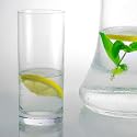 Carmen Medium Highball Tumbler -Box of 6