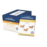 Fore MP Copy/Laser/Inkjet Paper, 96 Brightness, 20lb, Letter, 5000 Sheets/Carton