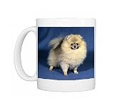 dog-pomeranian Photo Mugs