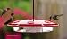 Kitchen & Housewares : <strong>Humbrella by Aspects</strong>