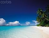 IMAGE OF Wallmonkeys Peel and Stick Wall Decals - A Tropical Beach - 18