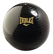 Everlast 24-Inch Inflatable Ball with Pump Everlast 24-Inch Inflatable Ball with Pump