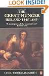 Great Hunger Ireland 1845 To 1849