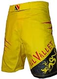 AV Dragon MMA Shorts