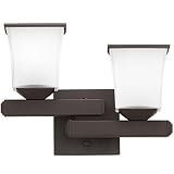 10 Ziggurat Vanity Light Finish: Architectural Bronze