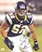 Chad Greenway Autographed Minnesota Vikings 8x10 Photograph