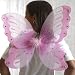 Pink Jeweled Wings