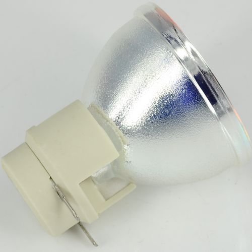 Awo-Lamps RLC-049 Original Projector Bare Bulb/Lamp for VIEWSONIC PJD6241 PJD6381 PJD6531W 150Day Warranty