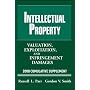 Intellectual Property, 2008 Cumulative Supplement: Exploitation, and Infringement Damages (Valuation of Intellectual Property and Intangible Assets Cumulative Supplement)