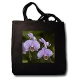 Kike Calvo Orchids - Violet Orchid is a colorful garden flower in which is a tropical plant and bouquet when blossom - Tote Bags