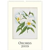 Orchids Cavallini 2009 Vintage Prints Wall Calendar 13 by 19 inches cream laid paper finish