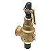 Pentair - 6010EDM01-KM-75 - Bronze Safety Relief Valve, MNPT Inlet Type, FNPT Outlet Type